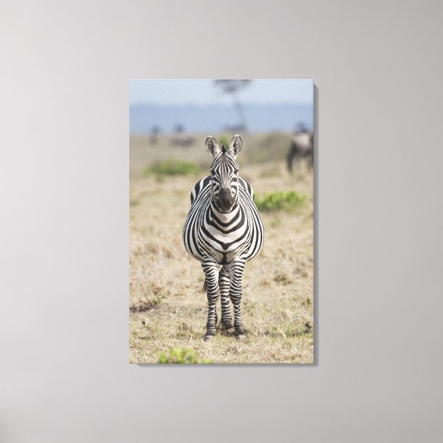 Zebra Leinwanddruck (Vorderseite)