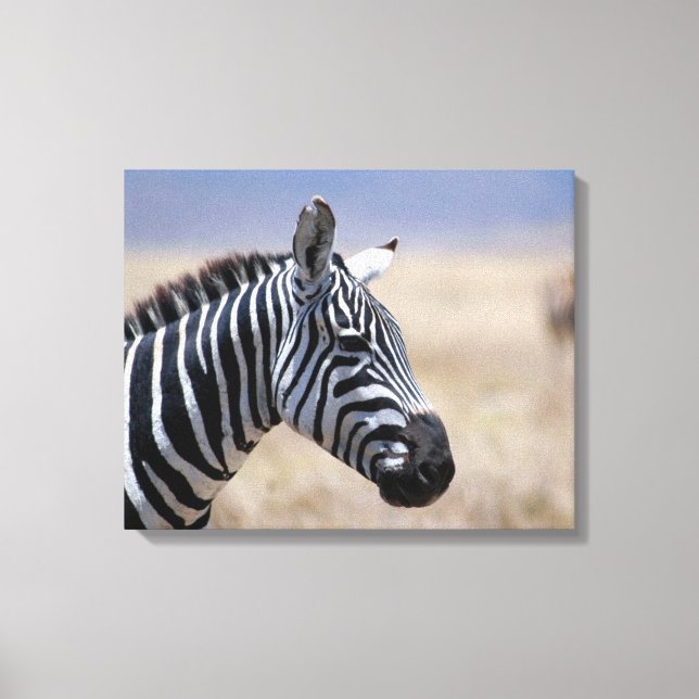 Zebra Leinwanddruck (Vorderseite)
