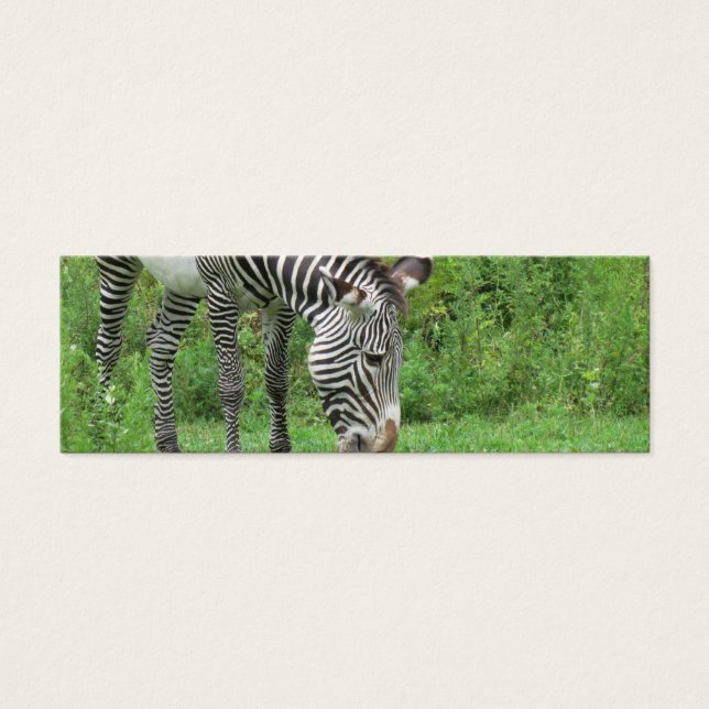 Zebra Lesezeichen (Vorderseite)