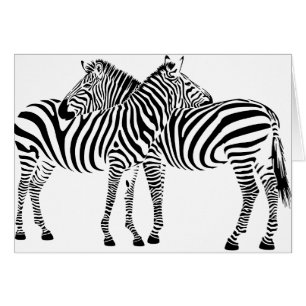 Zebra-Liebe