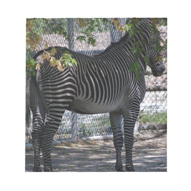 Zebra-Liebe Notizblock (Vorderseite)