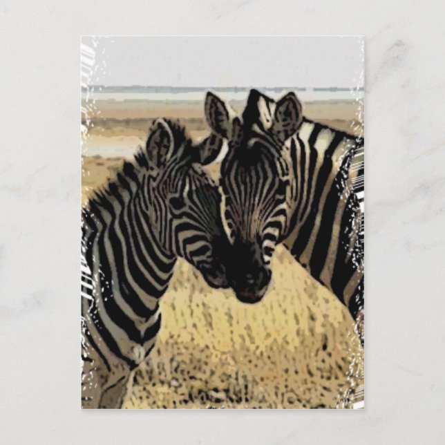 ZEBRA-LIEBE POSTKARTE (Vorderseite)