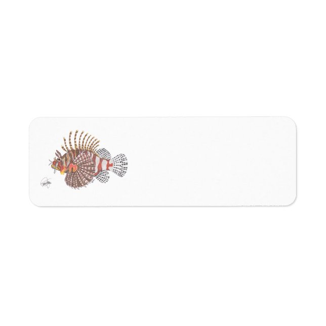 ZEBRA LIONFISH (Vorne)