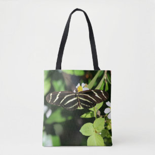 Zebra Longwing Butterfly