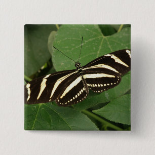Zebra Longwing Butterfly Button