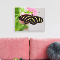 Zebra Longwing Butterfly