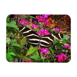 Zebra Longwing Butterfly Magnet