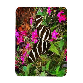 Zebra Longwing Butterfly Magnet