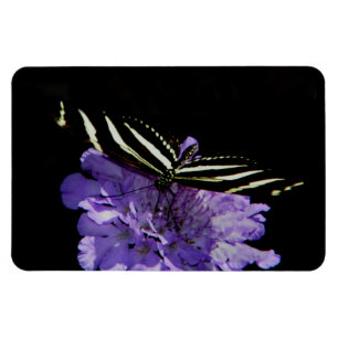 Zebra Longwing Butterfly Magnet