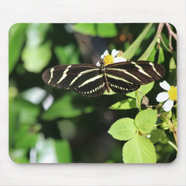 Zebra Longwing Butterfly Mousepad (Vorne)