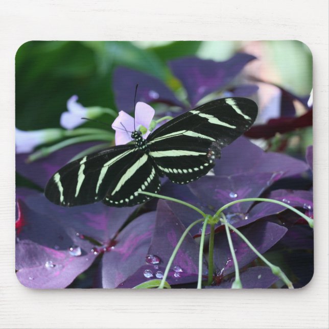 Zebra Longwing Butterfly Mousepad (Vorne)
