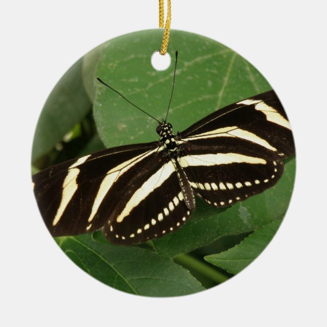 Zebra Longwing Butterfly Ornament (Vorne)