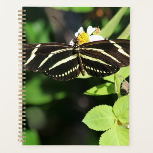 Zebra Longwing Butterfly Planer