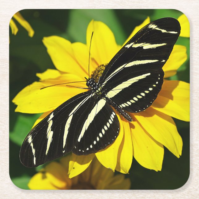 Zebra Longwing Rechteckiger Pappuntersetzer (Vorderseite)
