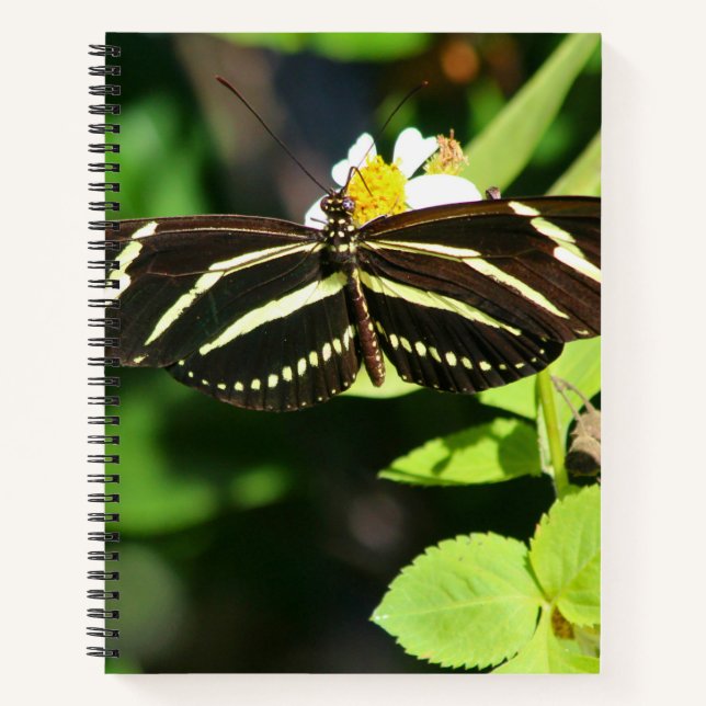 Zebra Longwing Schmetterling Spiralnotizbuch Notizbuch (Vorderseite)