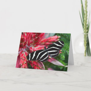 Zebra Longwing Weihnachtskarte Feiertagskarte