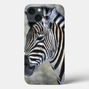 Zebra Lovers iPhone 13 Hülle