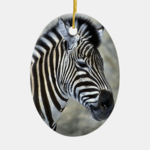 Zebra Lovers Kunst, Dichtung und Musik Keramik Ornament