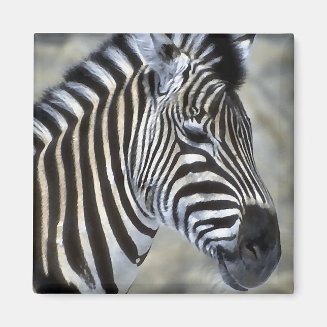 Zebra Lovers Kunstgeschenke Magnet (Vorne)