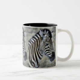 Zebra Lovers Kunstgeschenke Zweifarbige Tasse