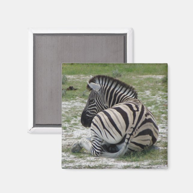 Zebra Magnet (Vorderseite/Rückseite)