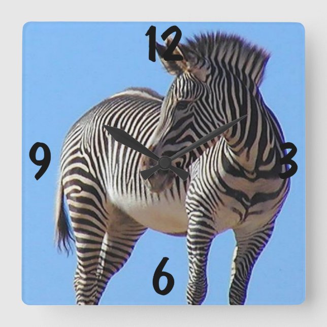 Zebra-Mauer-Uhr Quadratische Wanduhr (Vorderseite)