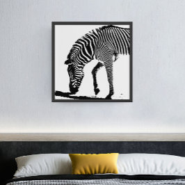 Zebra mit Schatten Poster
