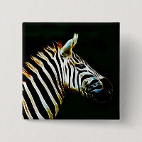 Zebra mit schwarz-weißen Streifen in Afrika