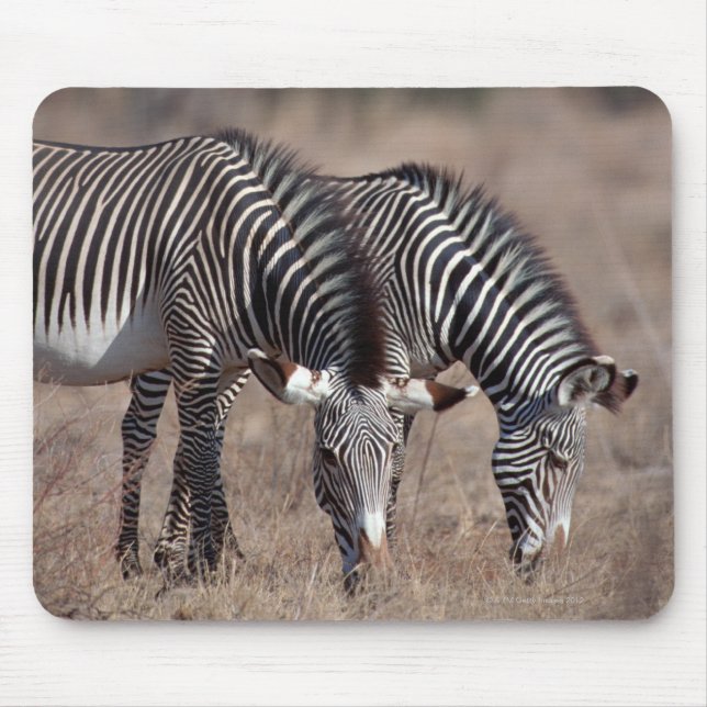 Zebra Mousepad (Vorne)