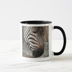 Zebra, Nahaufnahme Tasse