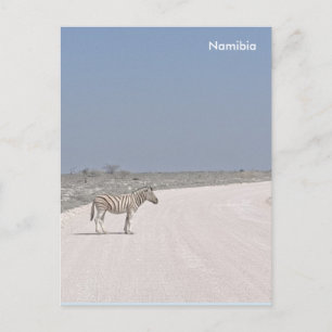 Zebra, Namibia Postcard Postkarte