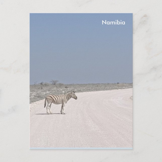 Zebra, Namibia Postcard Postkarte (Vorderseite)