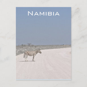 Zebra, Namibia Postcard Postkarte