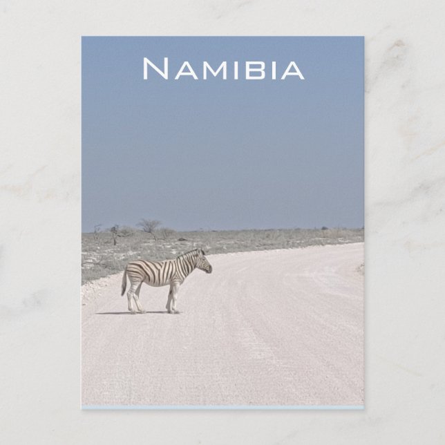 Zebra, Namibia Postcard Postkarte (Vorderseite)