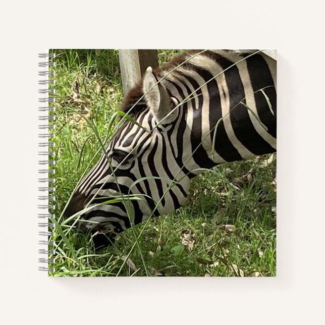 Zebra-Notebook Notizbuch (Vorderseite)