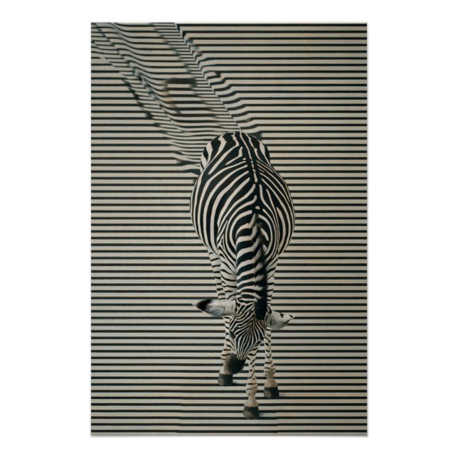 Zebra-Optik Poster | Surrealistische Tierkunst (Vorderseite)