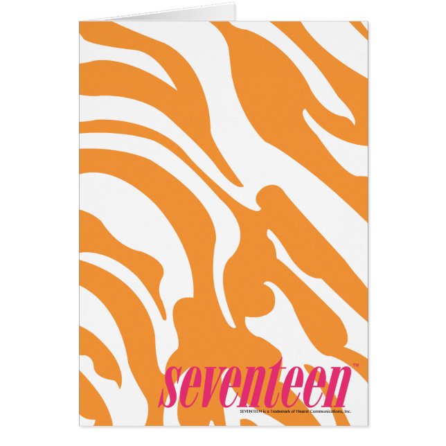 Zebra-Orange (Vorne)