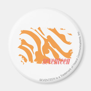 Zebra Orange 4 Magnet