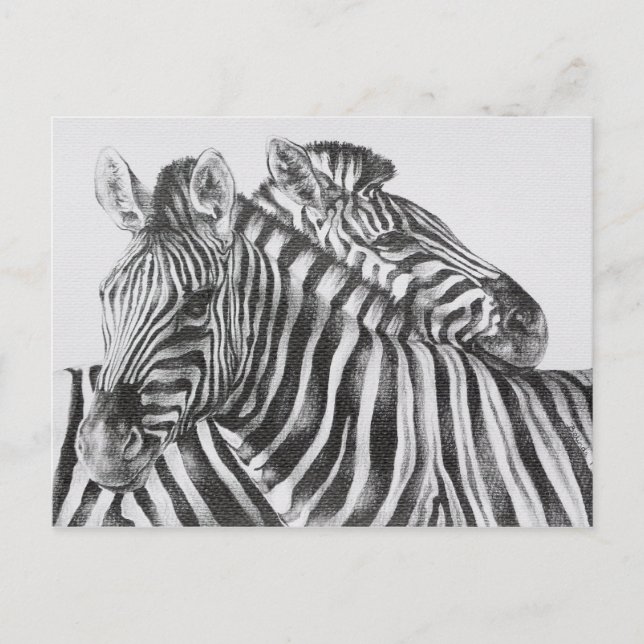 Zebra Original Pencil Drawing Postkarte (Vorderseite)