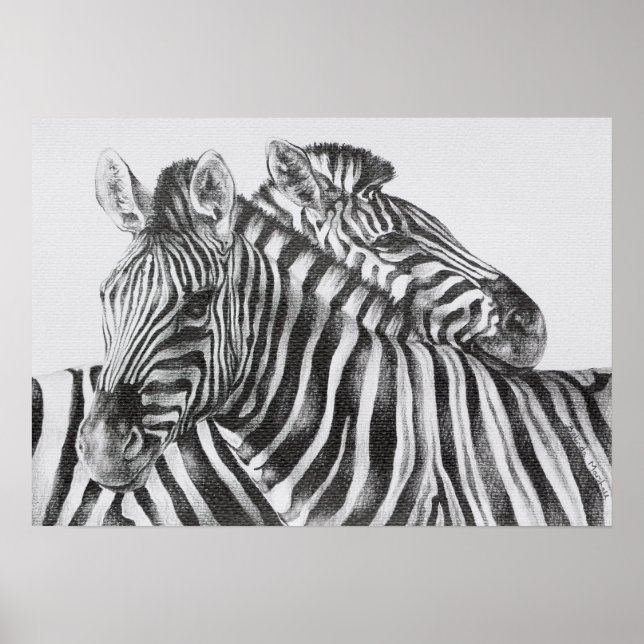 Zebra Original Stift Zeichnend Poster (Vorne)