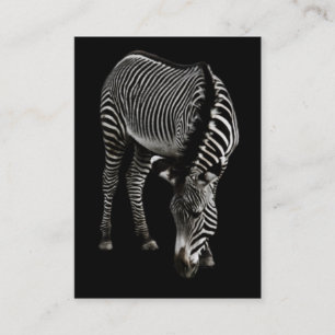 Zebra P4435 Mini Print Visitenkarte