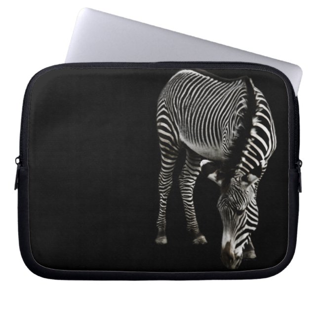 Zebra P4435 Notebook-Sieb Laptopschutzhülle (Vorderseite)