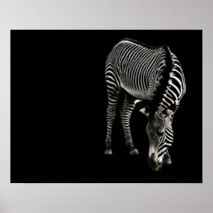Zebra P4435 Print Poster