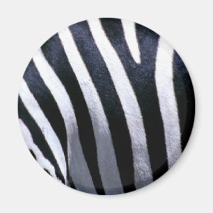 Zebra-Pelz Magnet