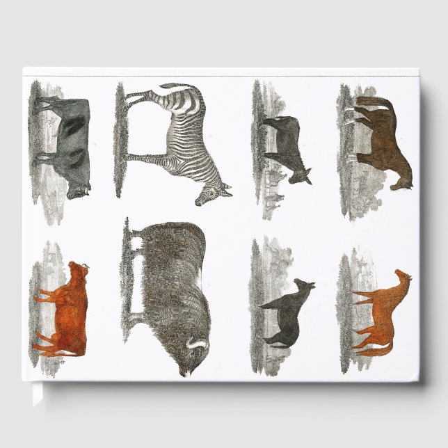 Zebra - Pferde - Kuh - Kinder - Geschenk Gästebuch (Vorderseite)