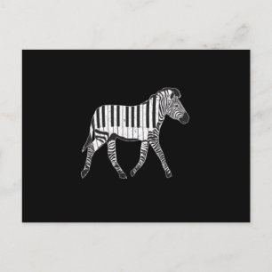 Zebra Piano Keyboards Piano Player Pianist Musicia Postkarte