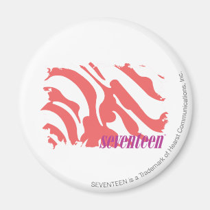 Zebra Pink 4 Magnet
