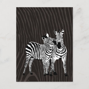 Zebra Play Postkarte