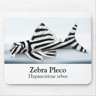 Zebra Pleco Mousepad