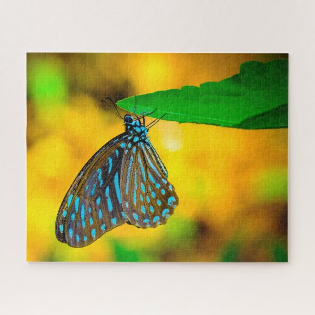 Zebra-Polka-Punkt-Schmetterling. Puzzle (Horizontal)